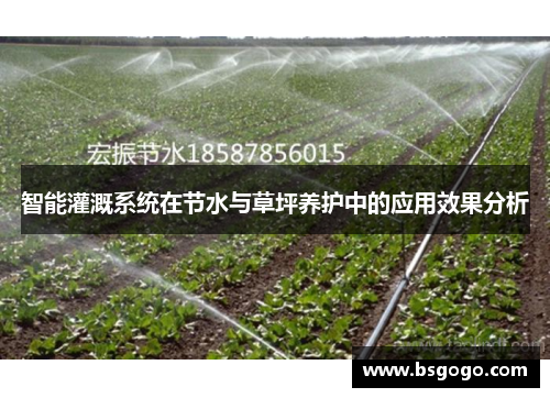 智能灌溉系统在节水与草坪养护中的应用效果分析